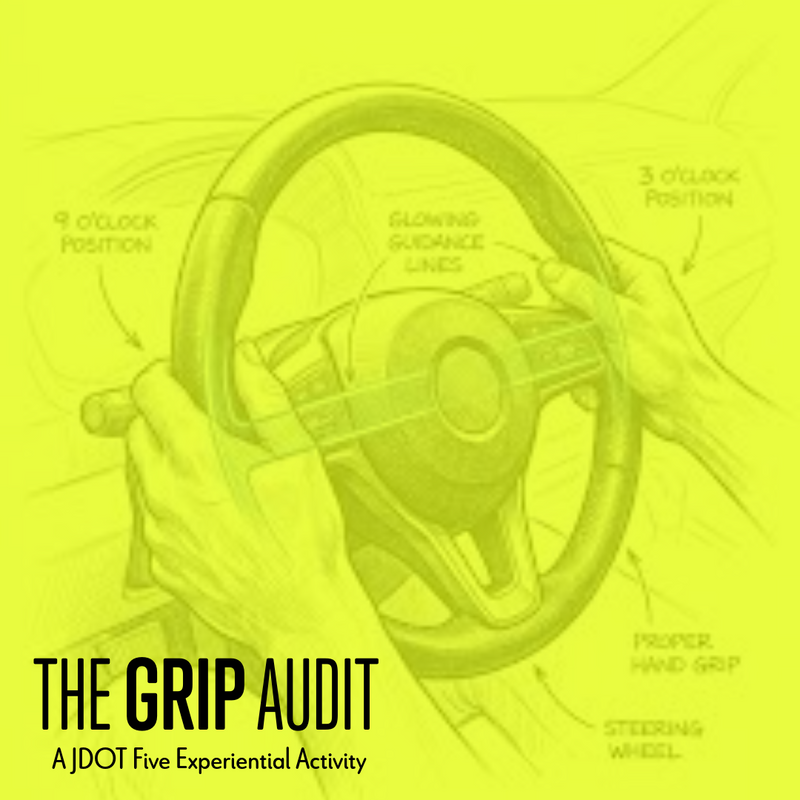 THE GRIP AUDIT
