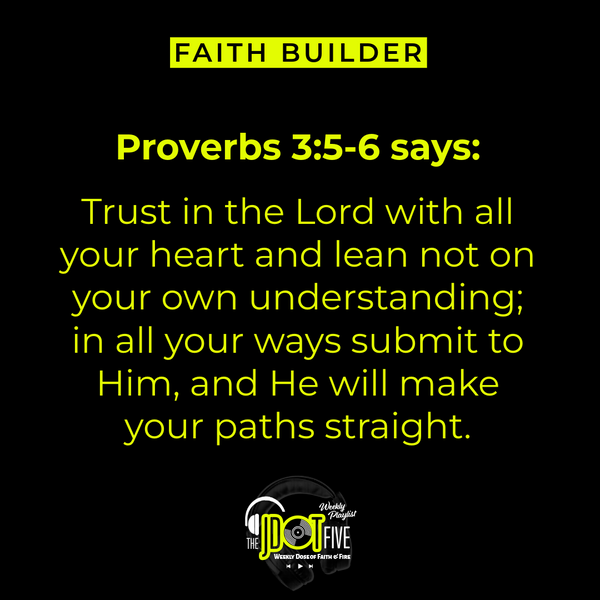 Trust Doesn't Wait for Understanding to Show Up First