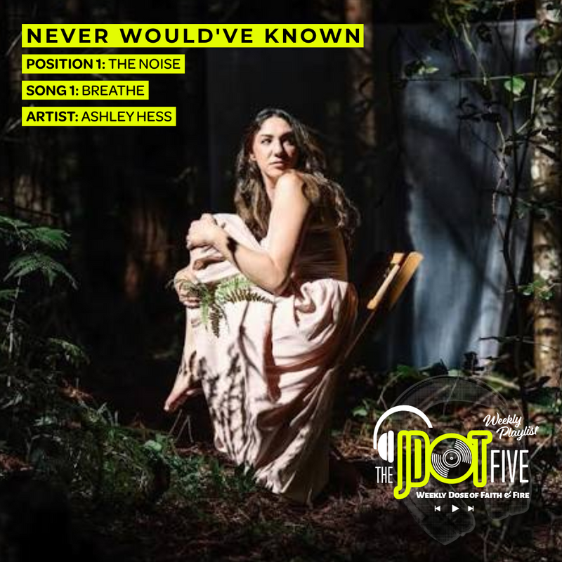 THE NOISE — Position 1 of NEVER WOULD'VE KNOWN