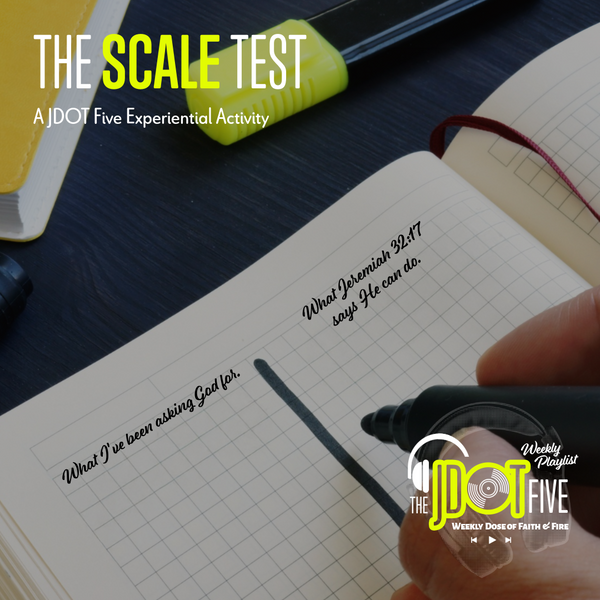 This Week's Activity: The Scale Test