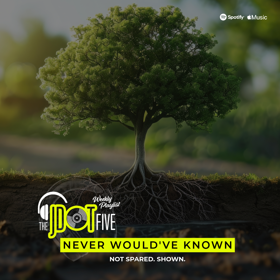 NEVER WOULD'VE KNOWN — homepage teaser
