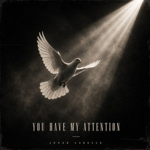 You Have My Attention — Jesse LaBelle