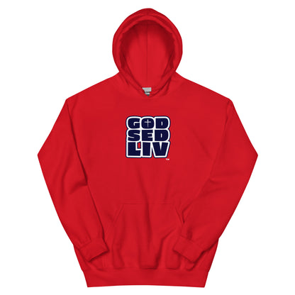 God Sed Liv 2024 Unisex Hoodie